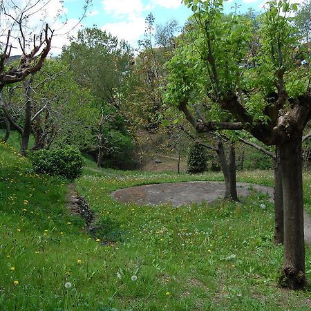 Can Salgueda Santa Pau Ruang foto