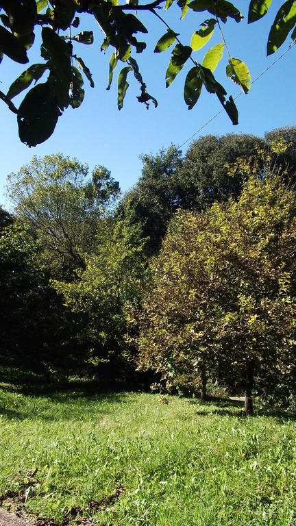 Can Salgueda Santa Pau Ruang foto