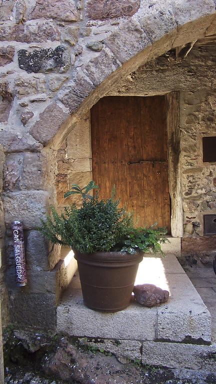 Can Salgueda Santa Pau Ruang foto