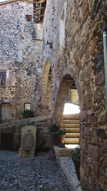 Can Salgueda Santa Pau Ruang foto