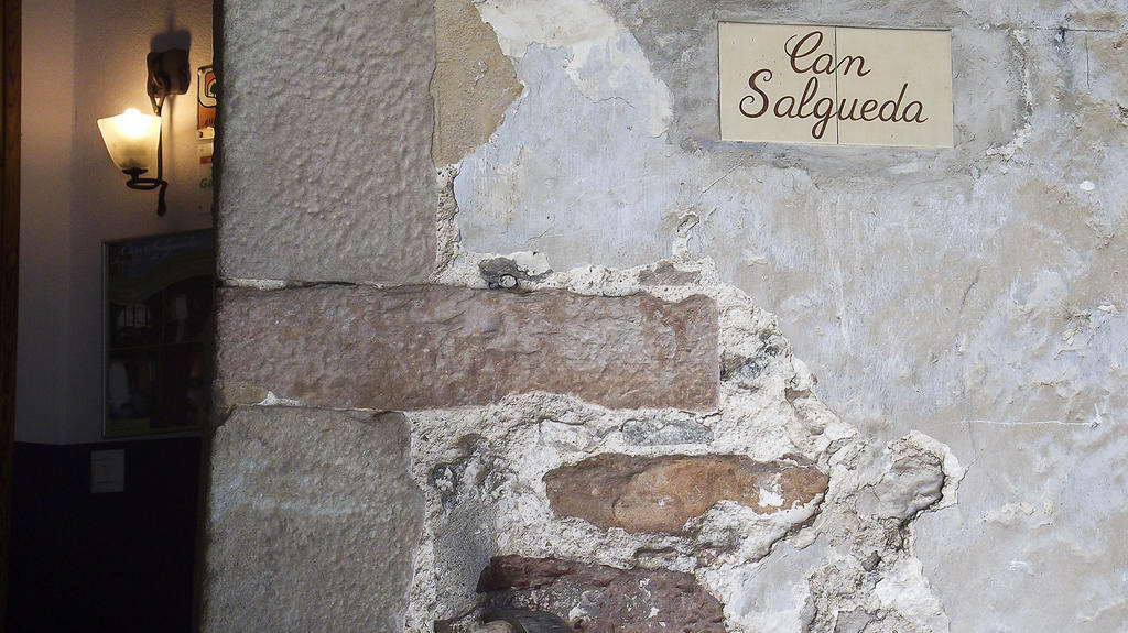 Can Salgueda Santa Pau Ruang foto