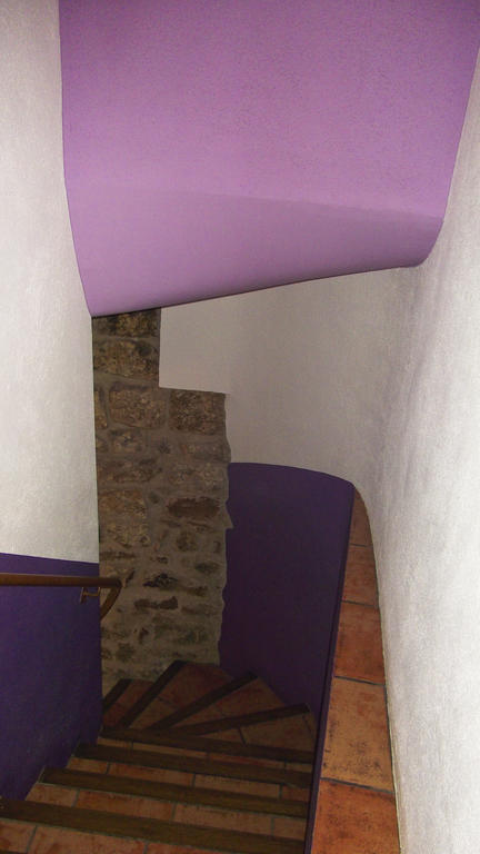 Can Salgueda Santa Pau Ruang foto